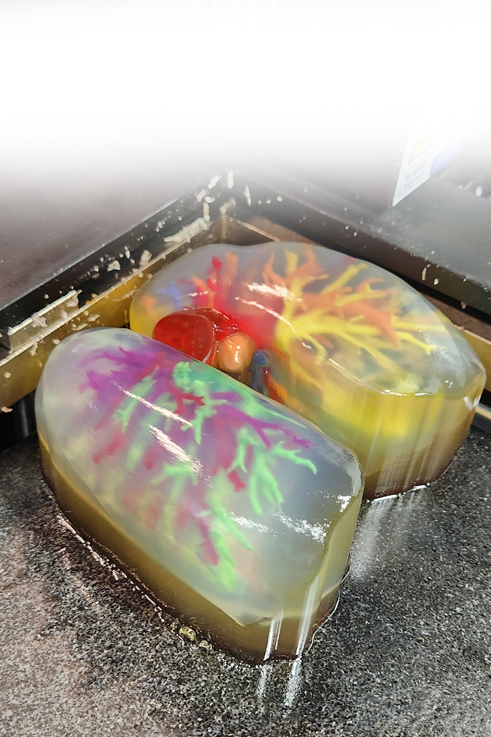 （3）Jelly like soluble support material