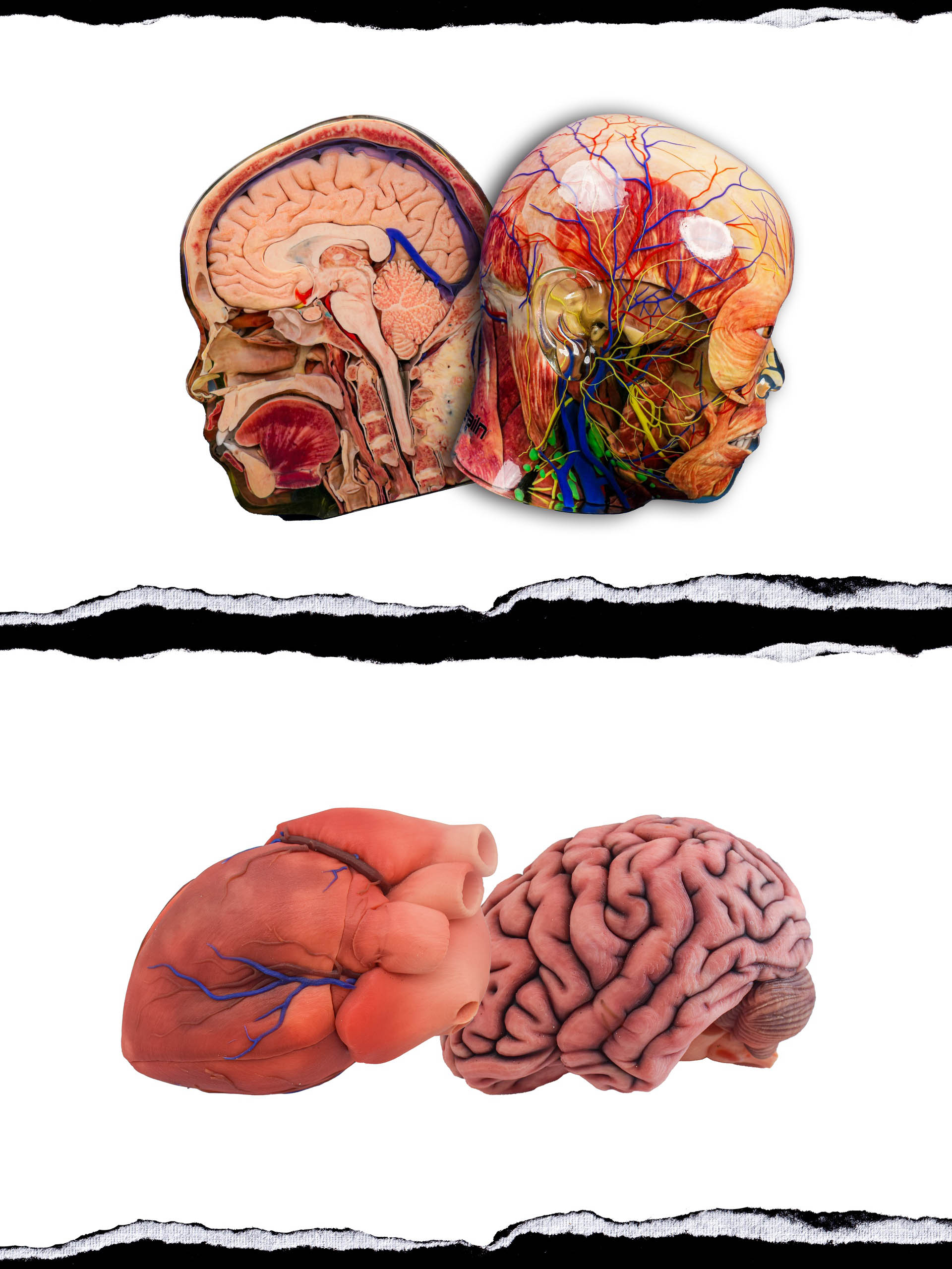 Learn more about Sailner J400 Plus